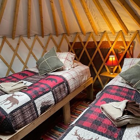 Nauti Otter Inn And Yurt Village Seward Room photo